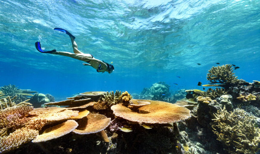 Komodo National Park Adventure: Trekking, Diving & Wildlife Combo