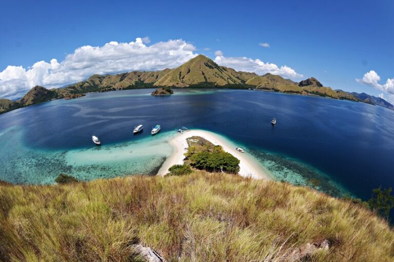 komodonesia.com