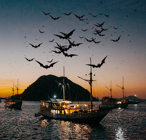 kalong island-komodonesia.com